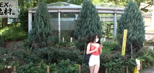 Thumbnail of post image 103